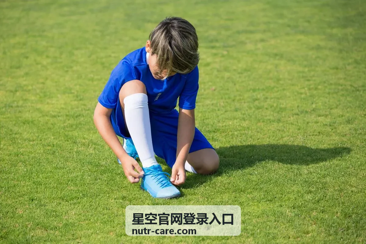 星空官网登录入口移动端登录步骤