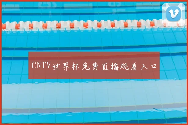 CNTV世界杯免费直播观看入口