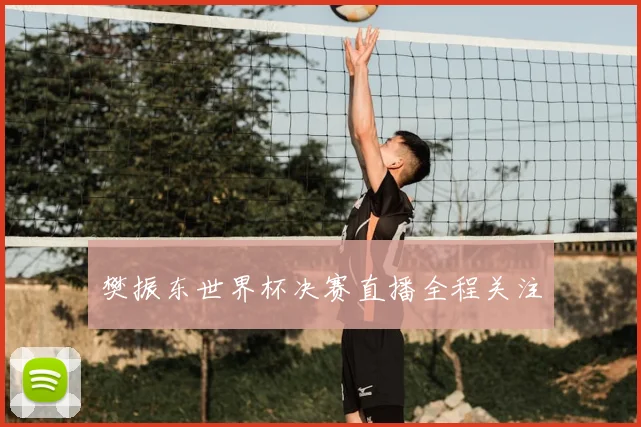 樊振东世界杯决赛直播全程关注