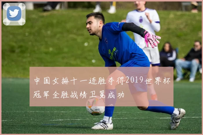 中国女排十一连胜夺得2019世界杯冠军全胜战绩卫冕成功