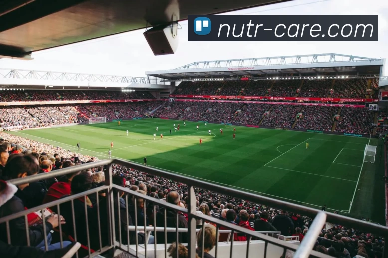 米兰app登录入口发展历程