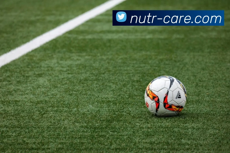 爱游戏ayx官方官网服务体系